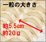 img55877890.jpg
